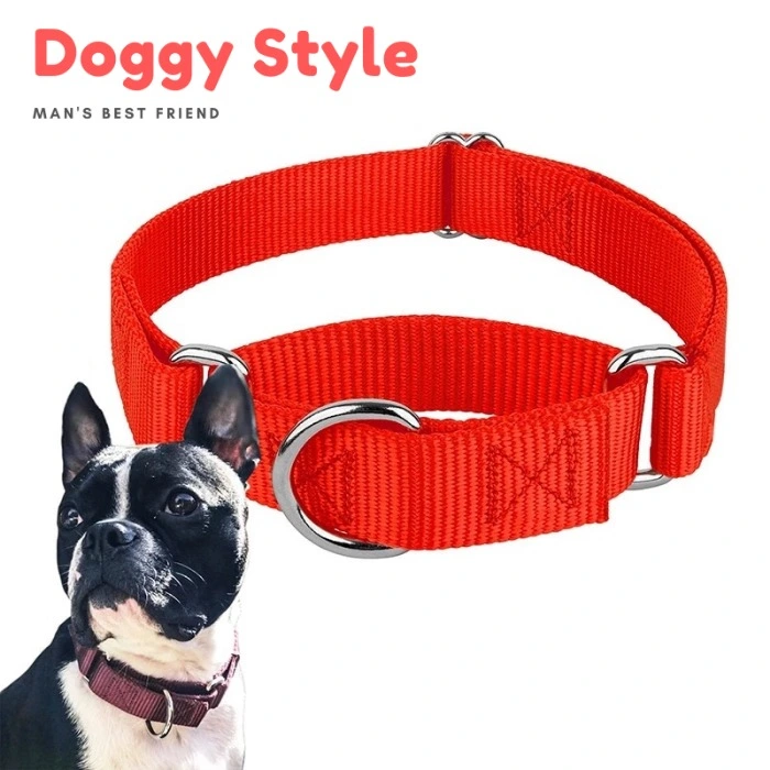 PET ACCESSORIES ef_pc_petc0v671p00155 in Sri Lanka